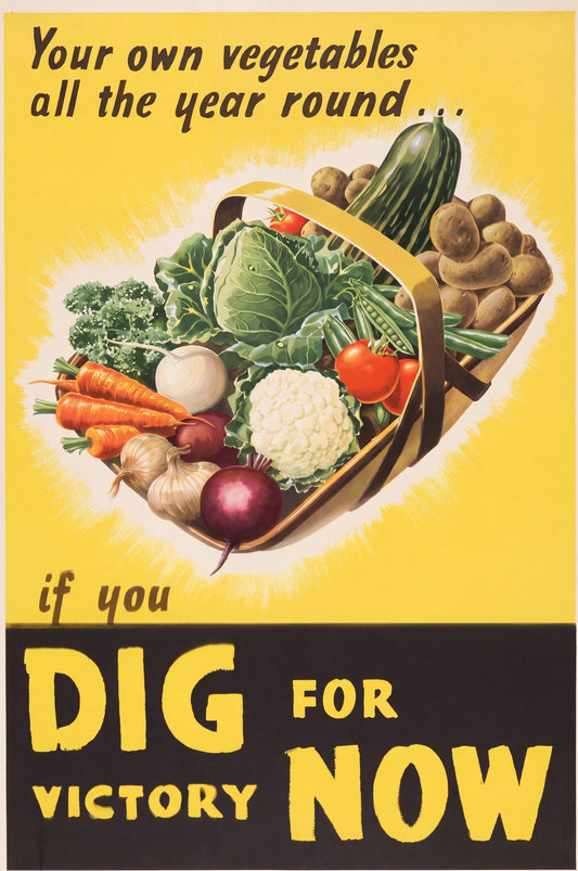 1940s British Dig for Victory poster showing vegetable basket on yellow background, brown text, Irene Mitchell design